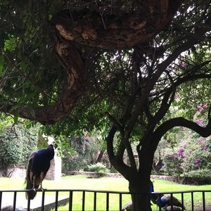 Meet your Posher, Monica